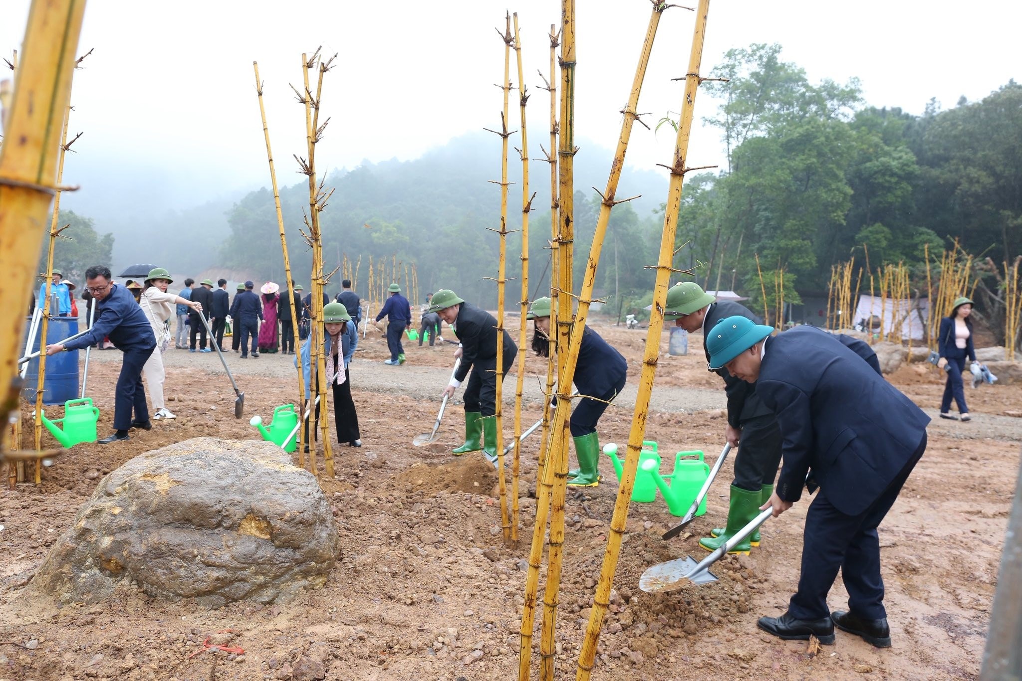 Xã Sóc Sơn phấn đấu trồng mới 5.000 cây xanh trong năm 2026