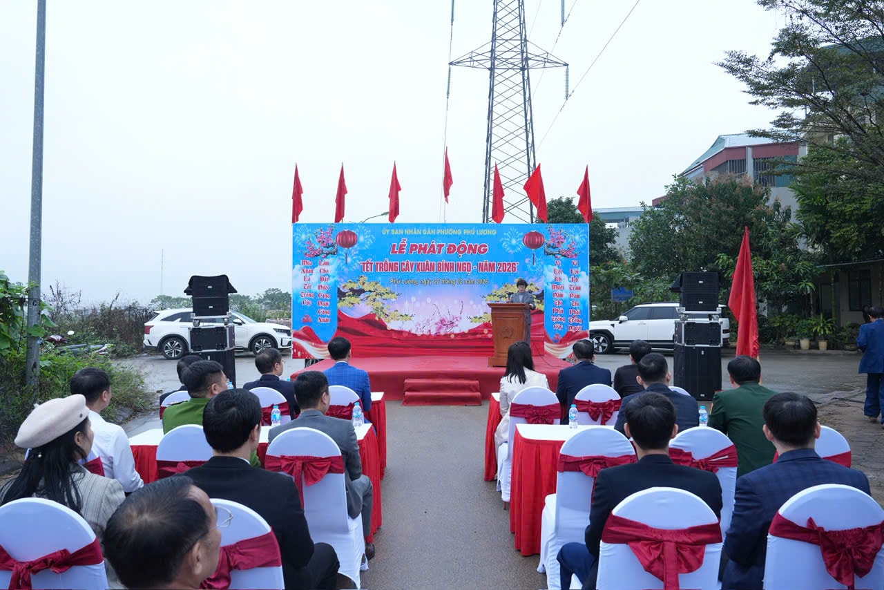 toan-canh-phu-luong.jpg
