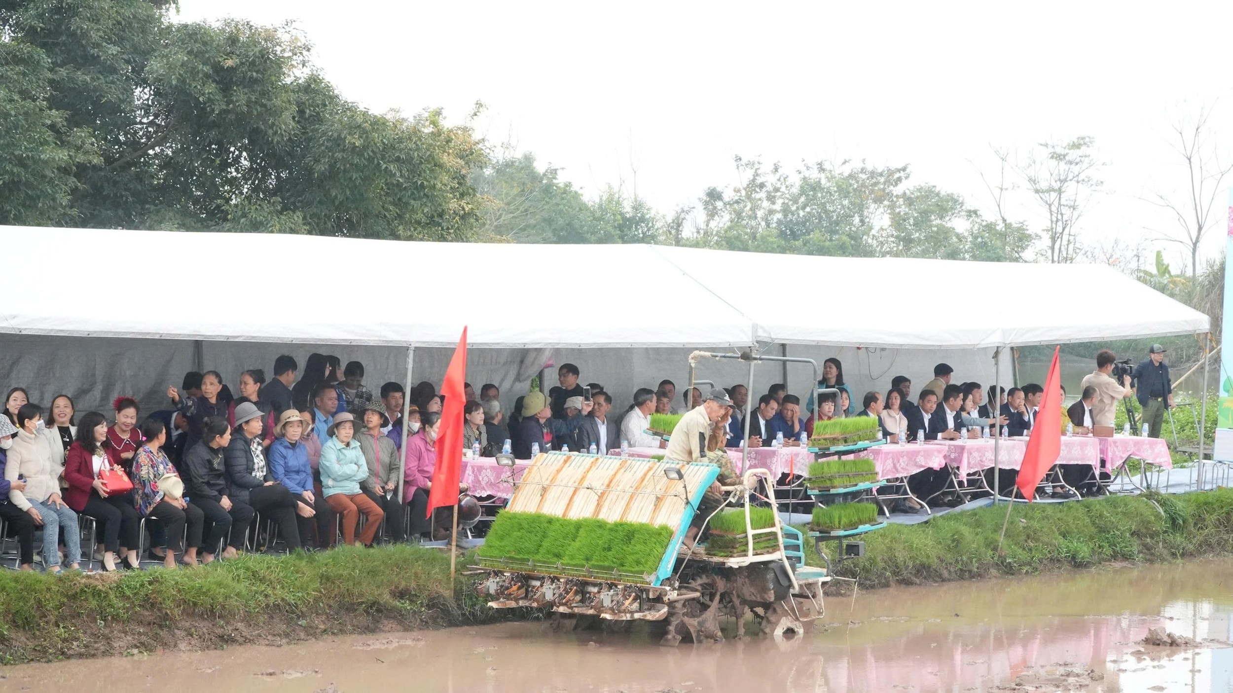 tet-phuong-3duc.jpg
