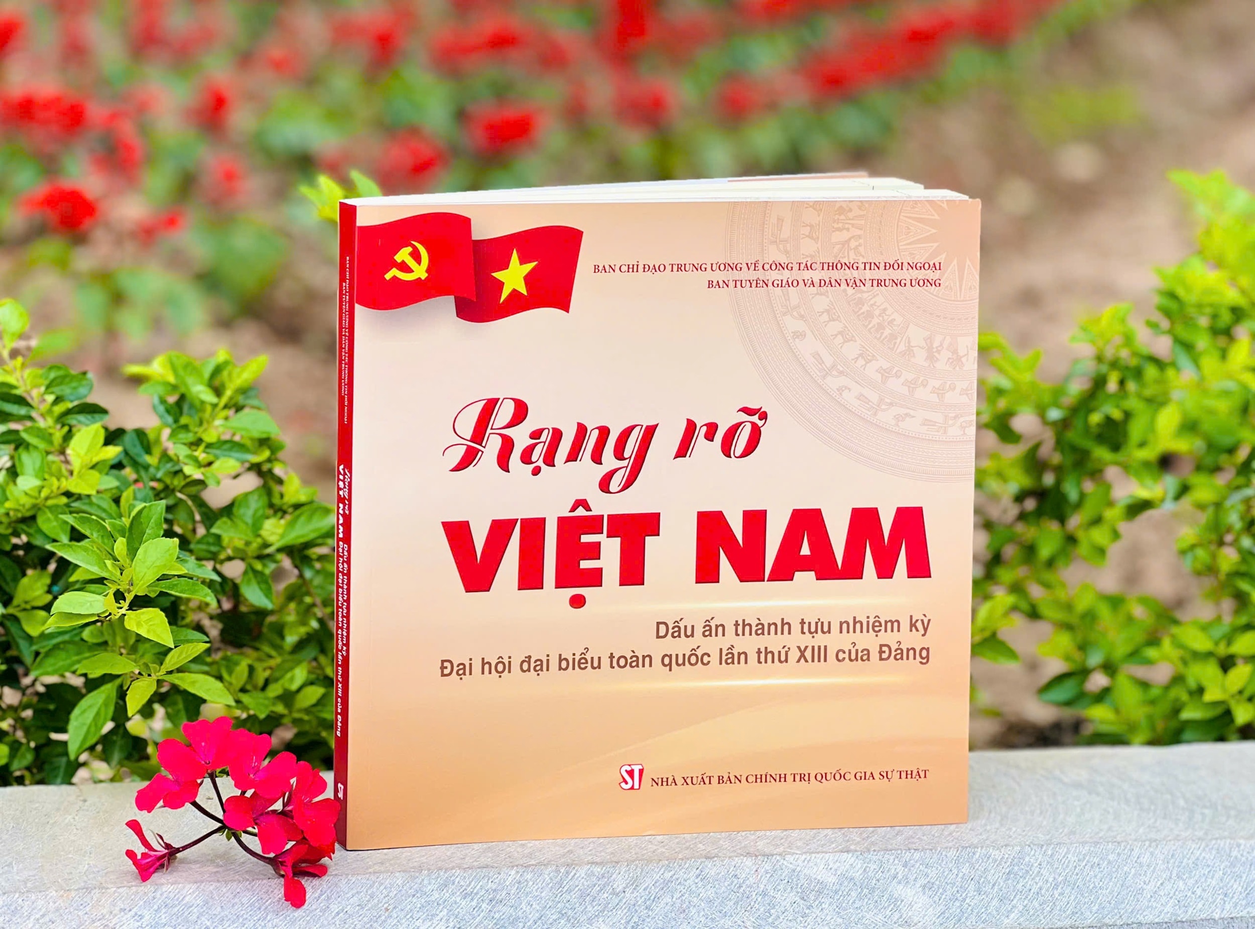 rang-ro-viet-nam-sach.jpg
