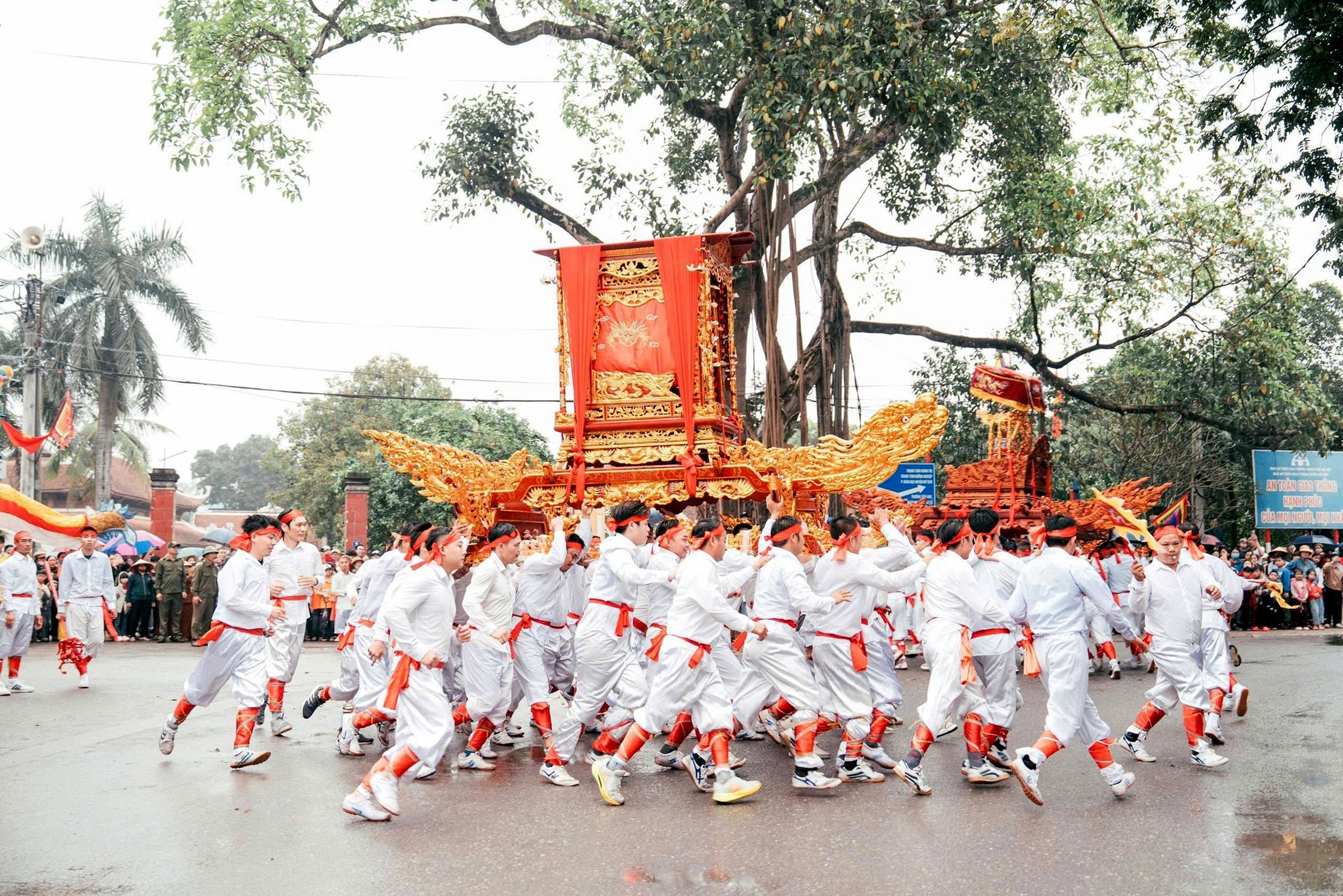 phu-luu-te.jpg