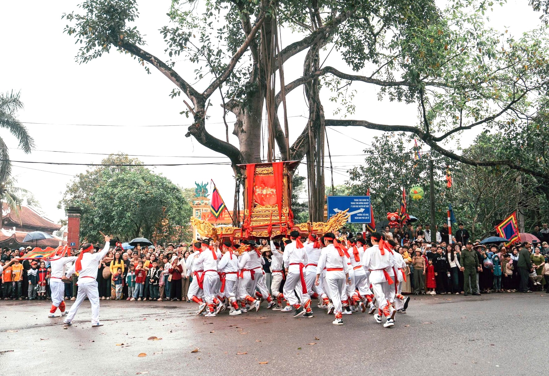 phu-luu-te1.jpg