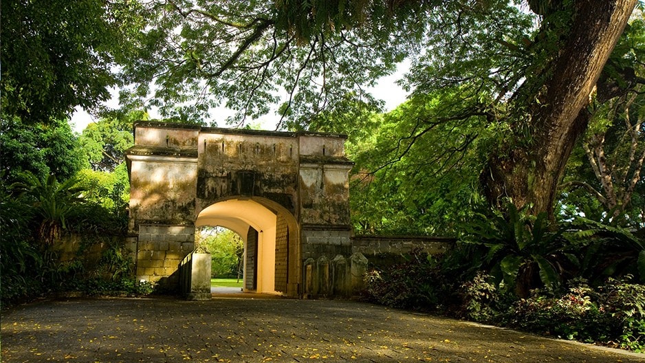 Không gian xanh nhuốm màu của thời gian tại công viên Fort Canning (Ảnh: National Parks Board)