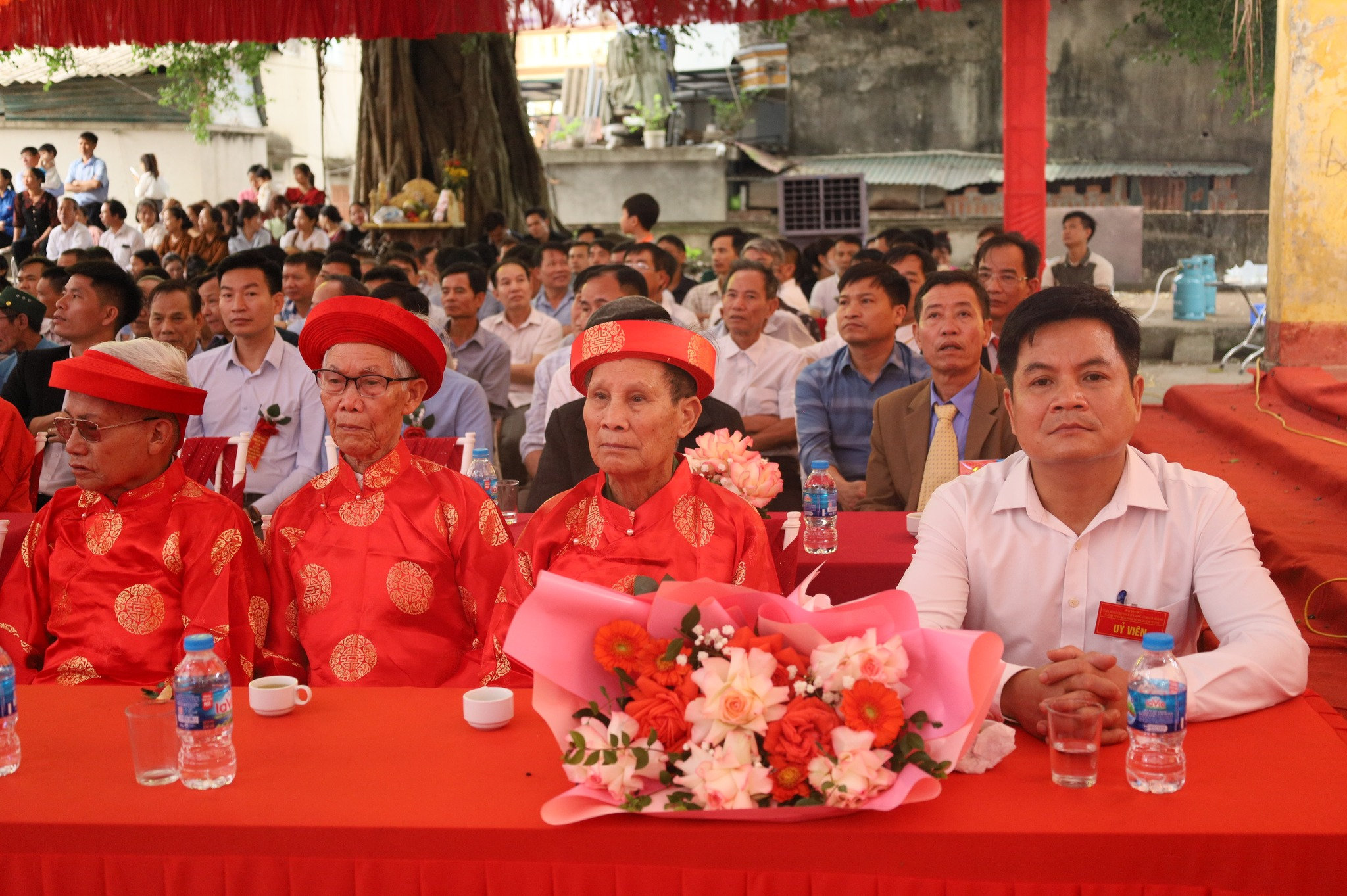 dinh-co-5o.jpg