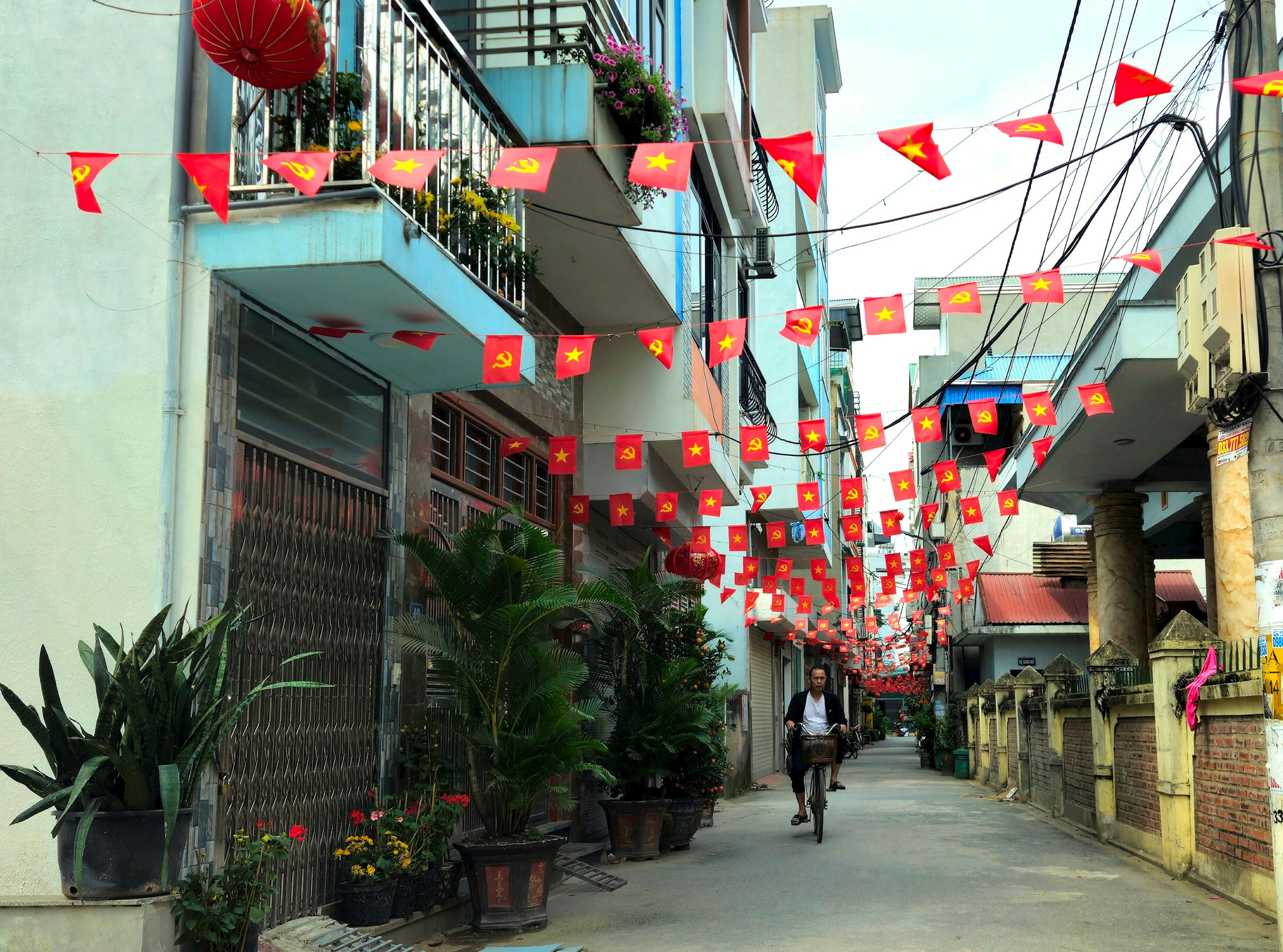 an-khanh-co.jpg