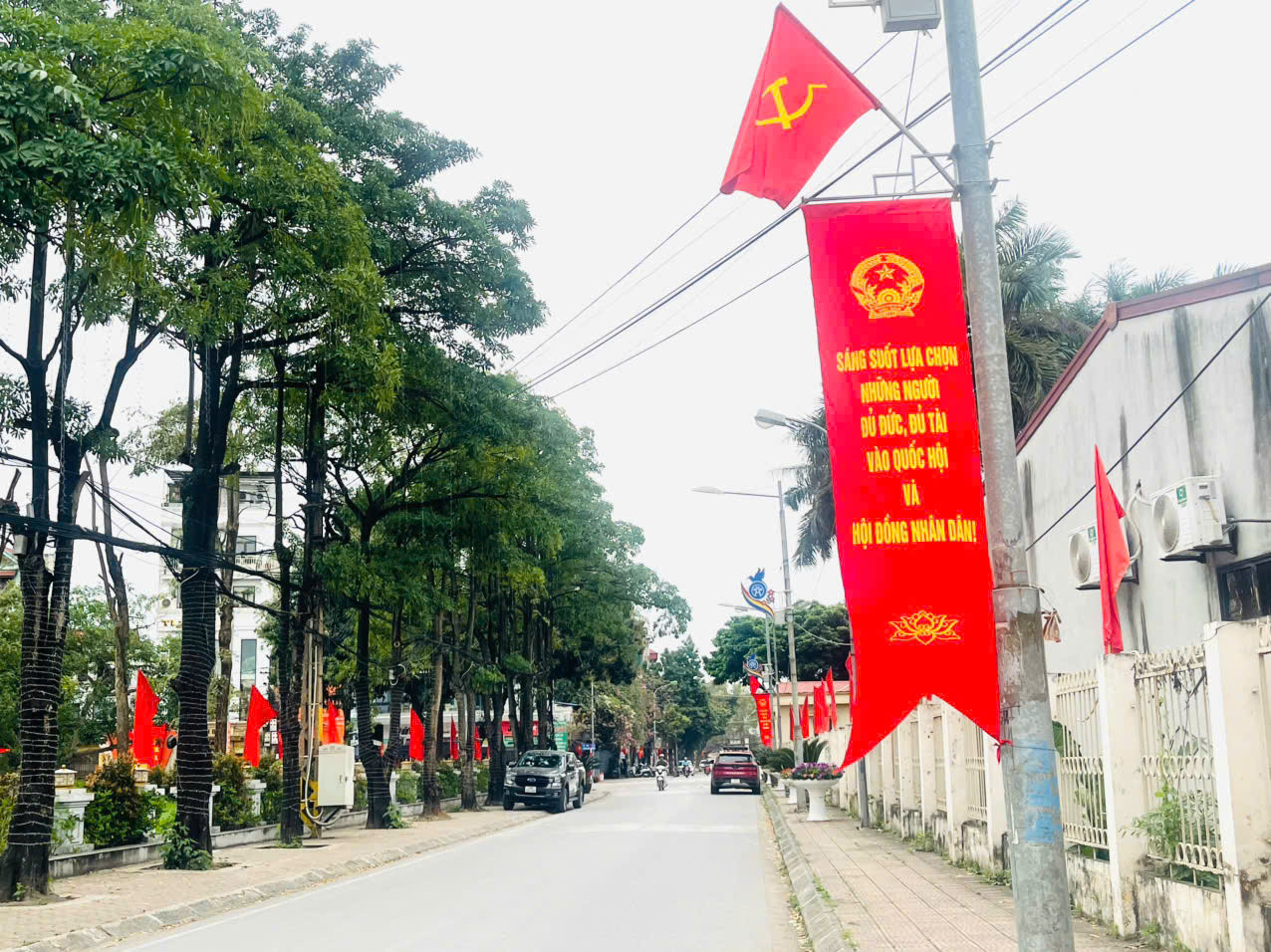 bau-cu-thuong-tin-1.jpg