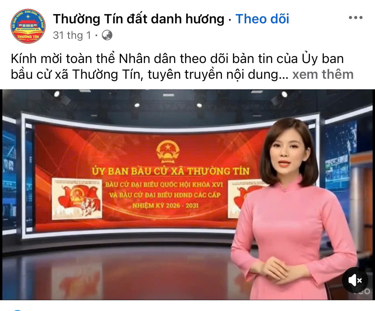 bau-cu-thuong-tin-3.jpg