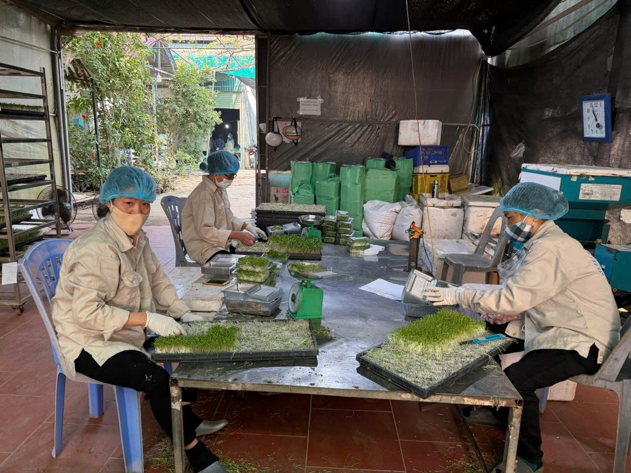 rauthanh-ha-1.jpg