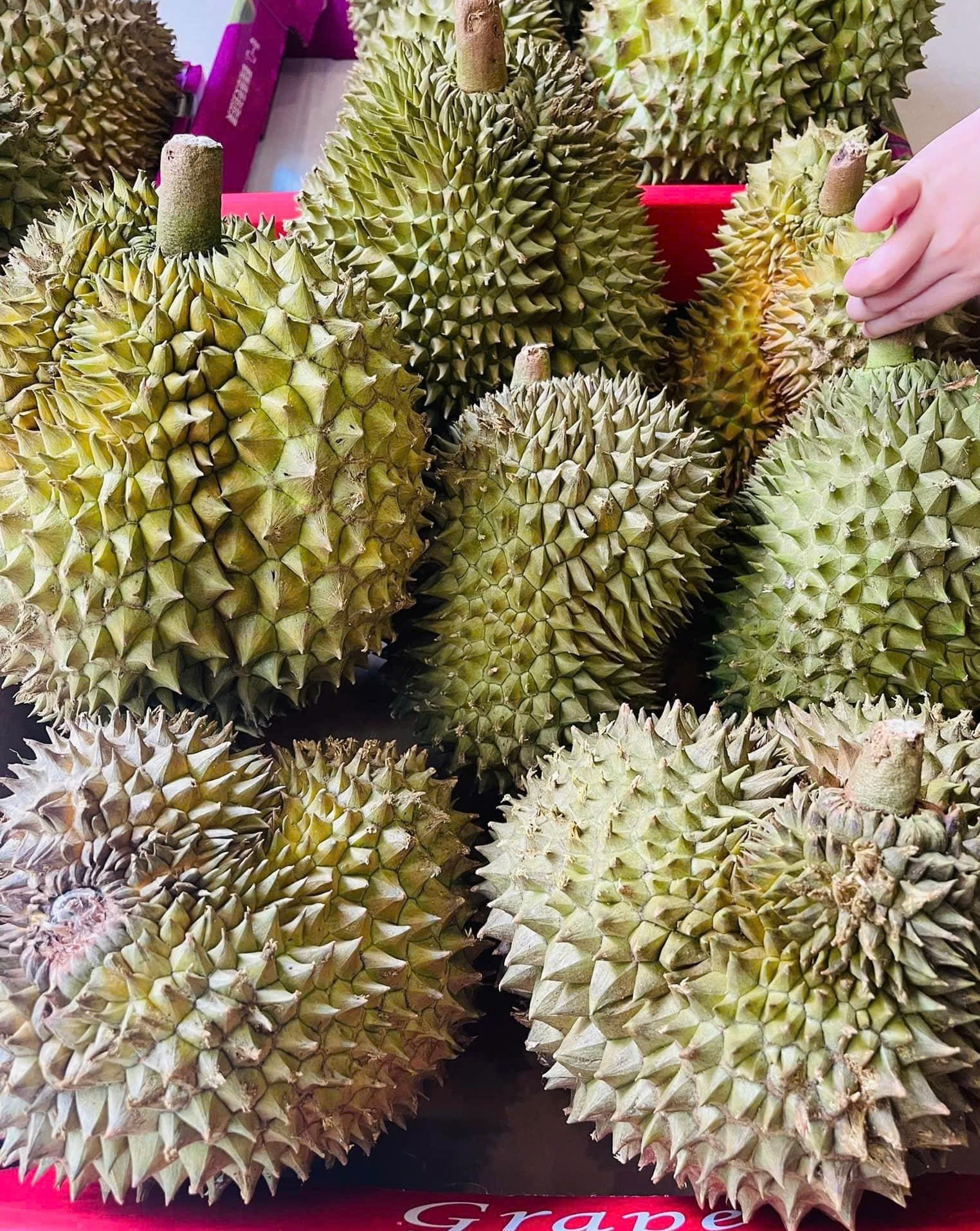 sau-rieng.jpg
