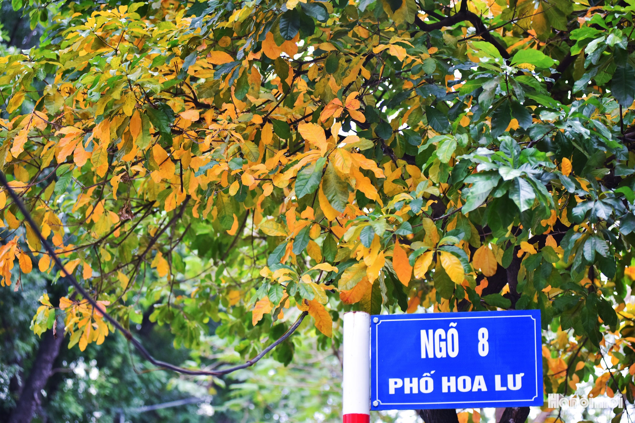 W_dsc_0142.jpg