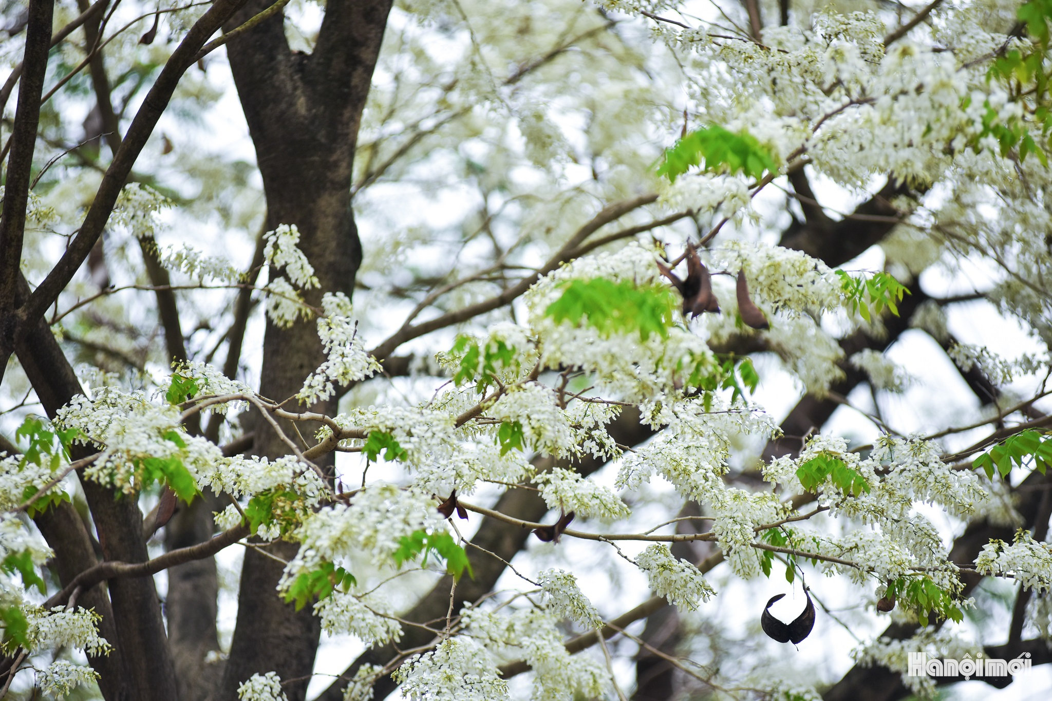 W_dsc_0152.jpg
