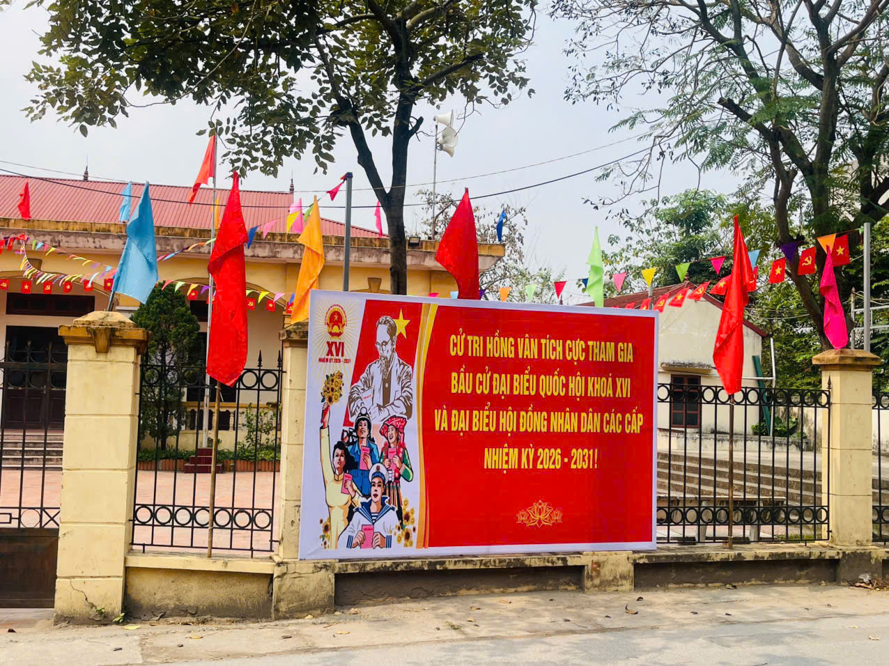 bau-cu-hong-van-3.jpg