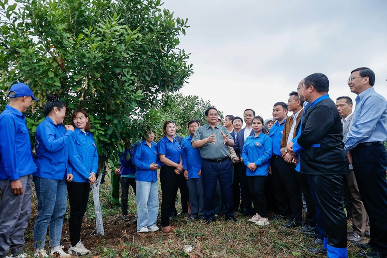 Thủ tướng Phạm Minh Chính: Cần biến núi rừng Tây Bắc trùng điệp thành của cải vật chất- Ảnh 3.