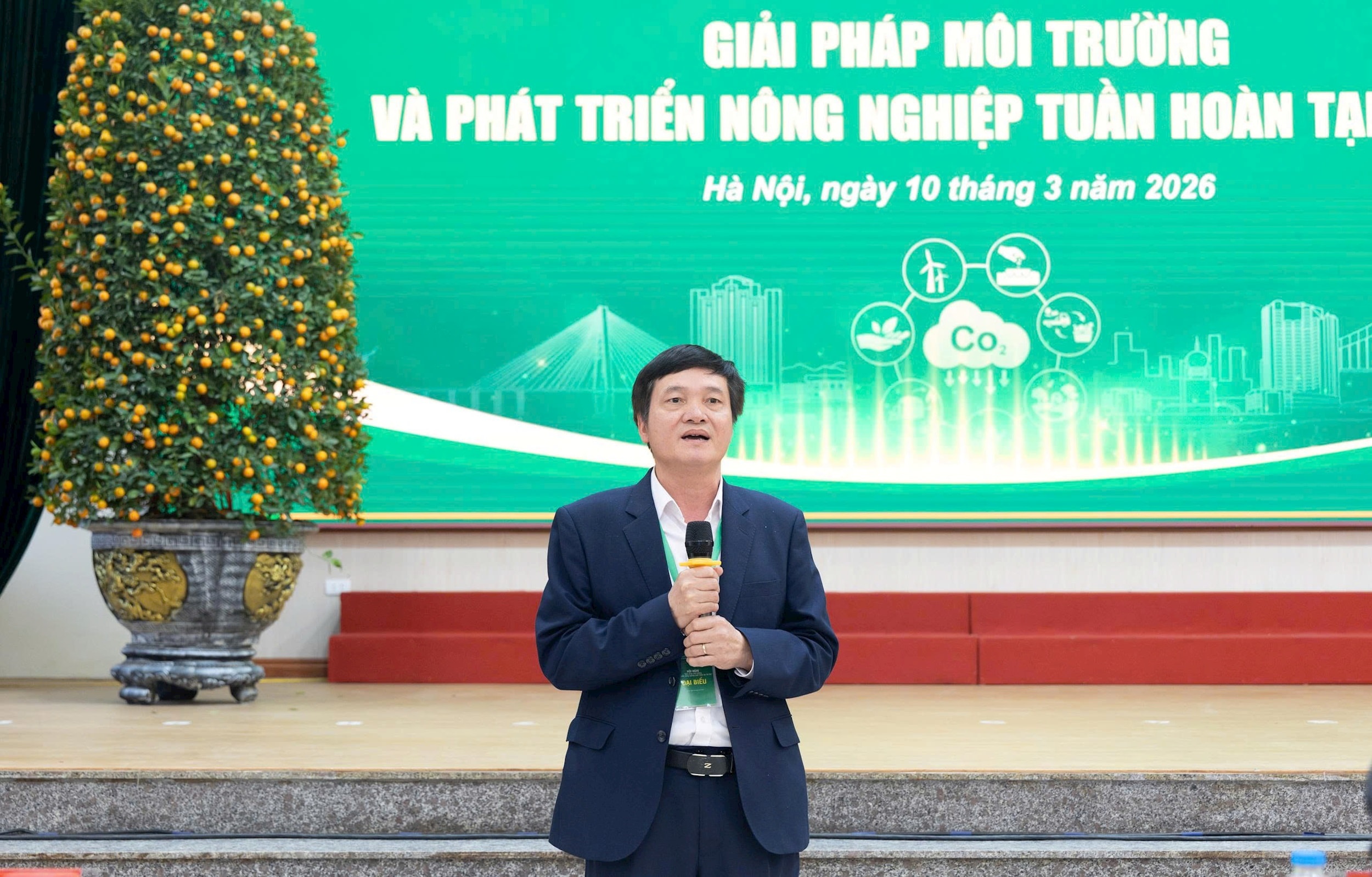  Cao Hồng