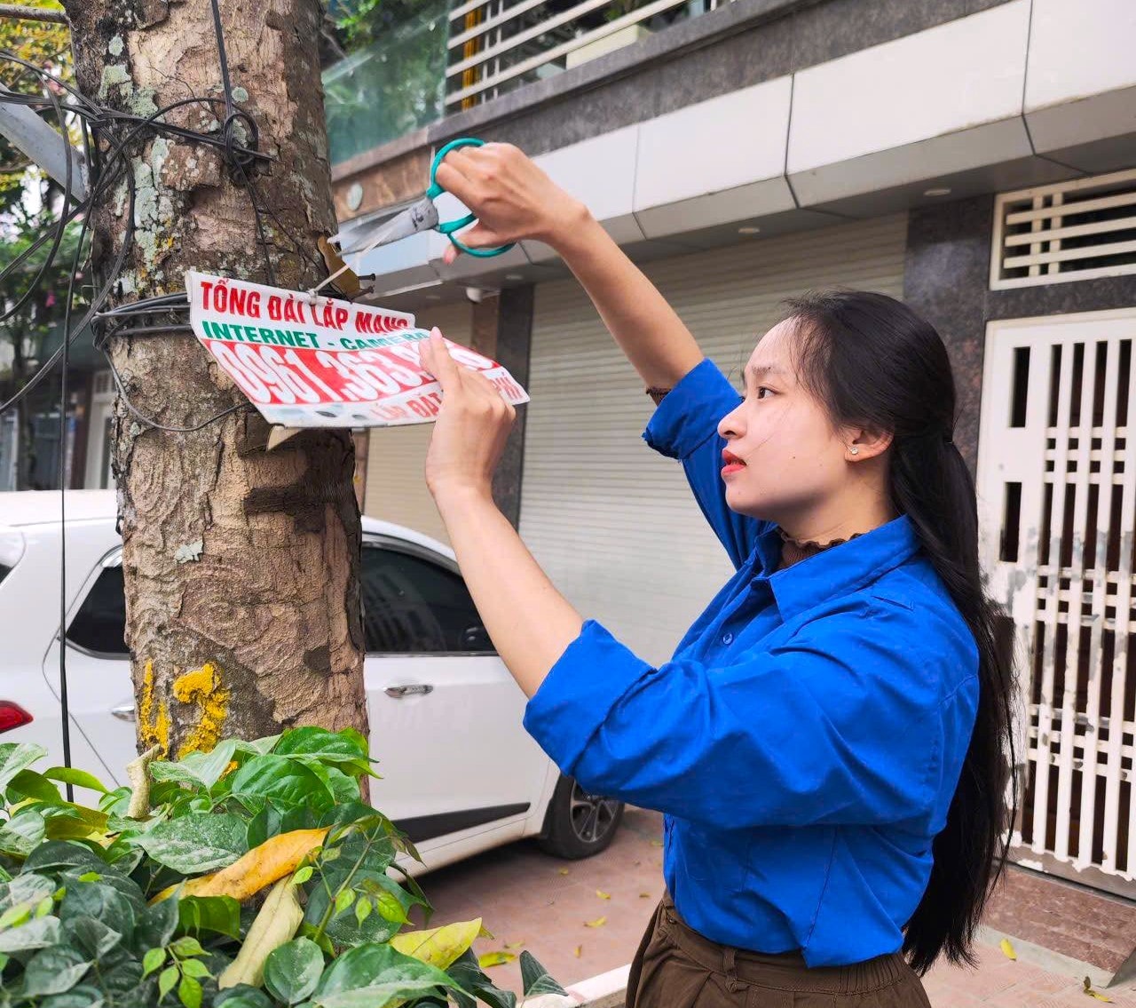phuong-son-tay-2.jpg
