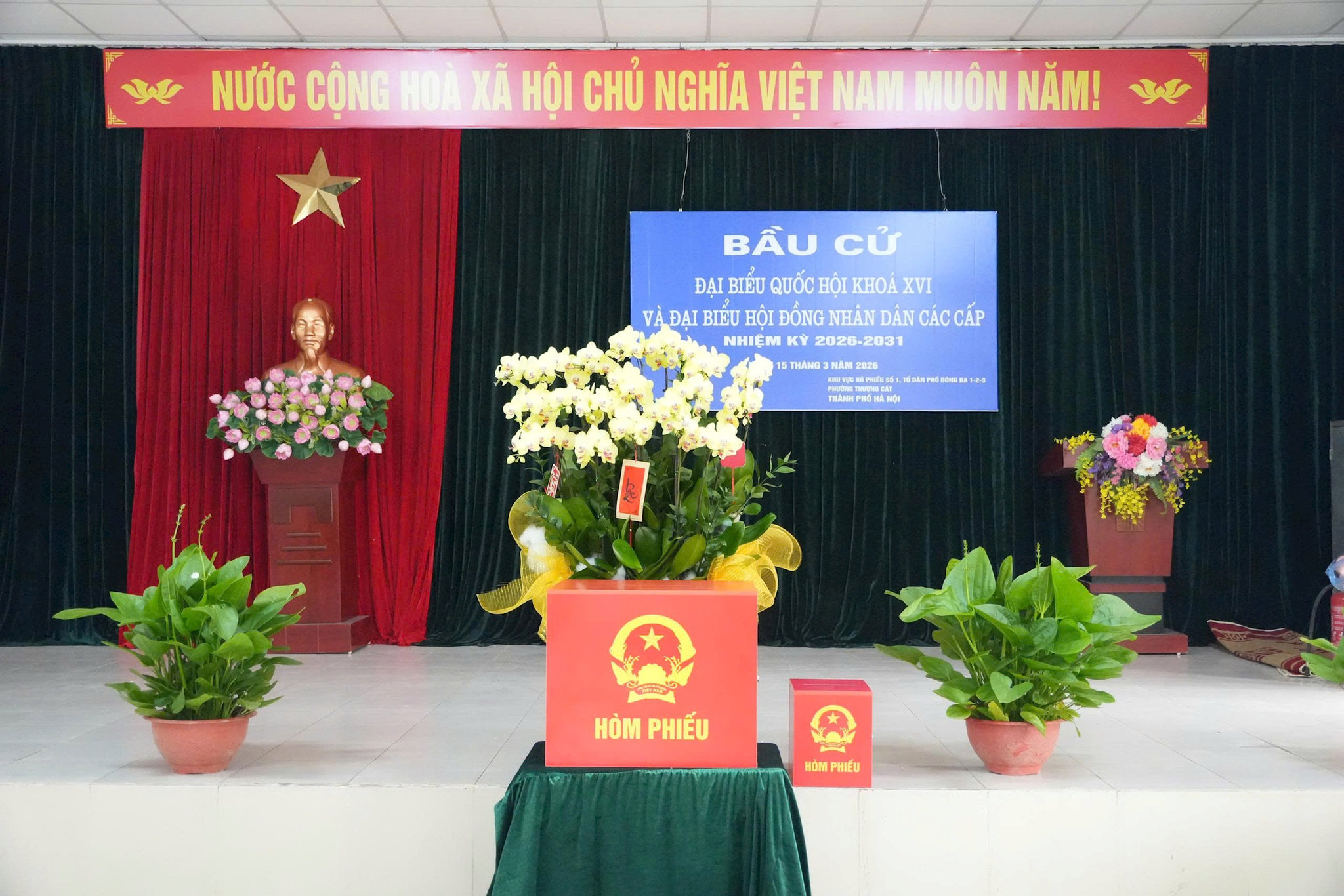thuong-cat-5.jpg