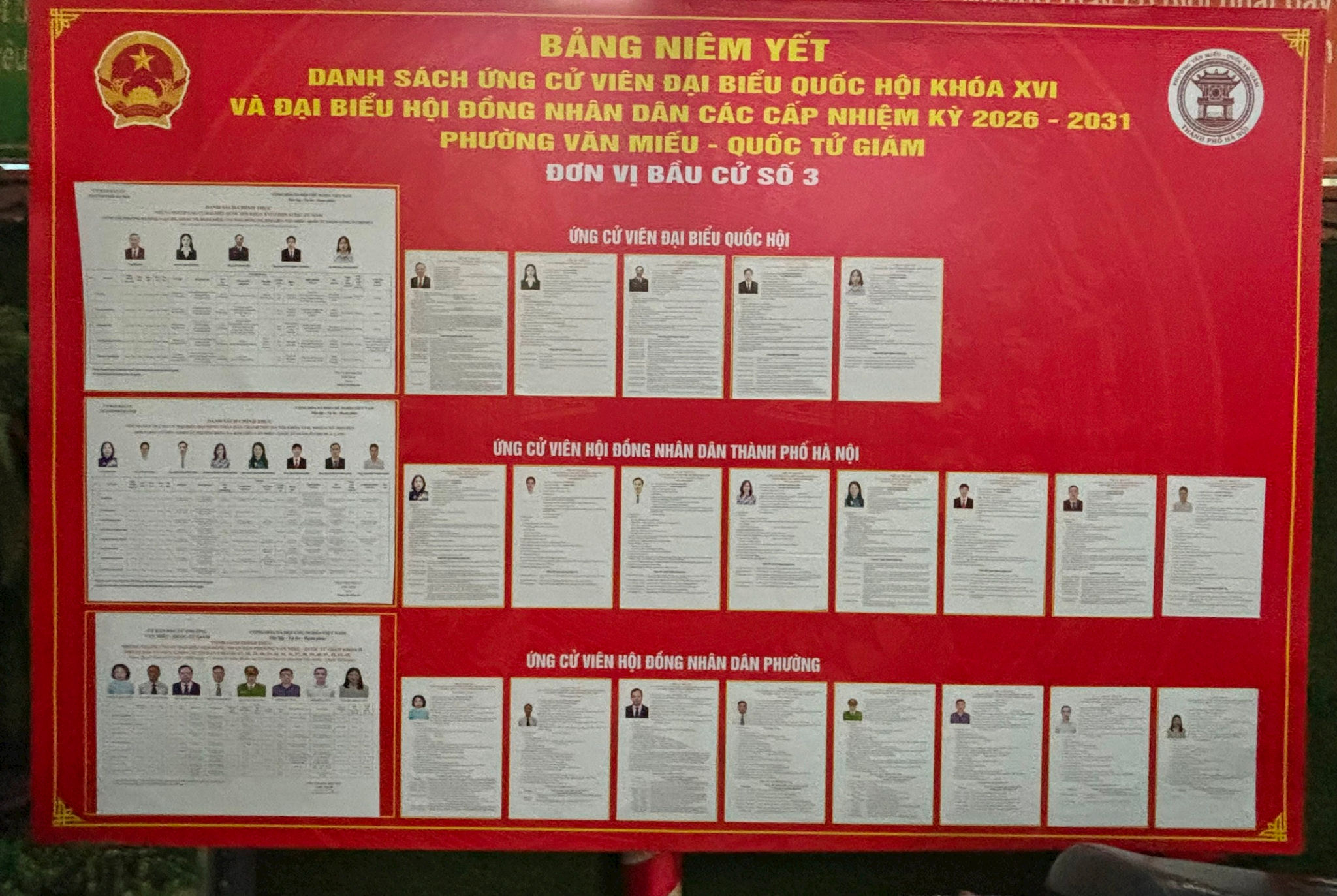 vm6.jpg