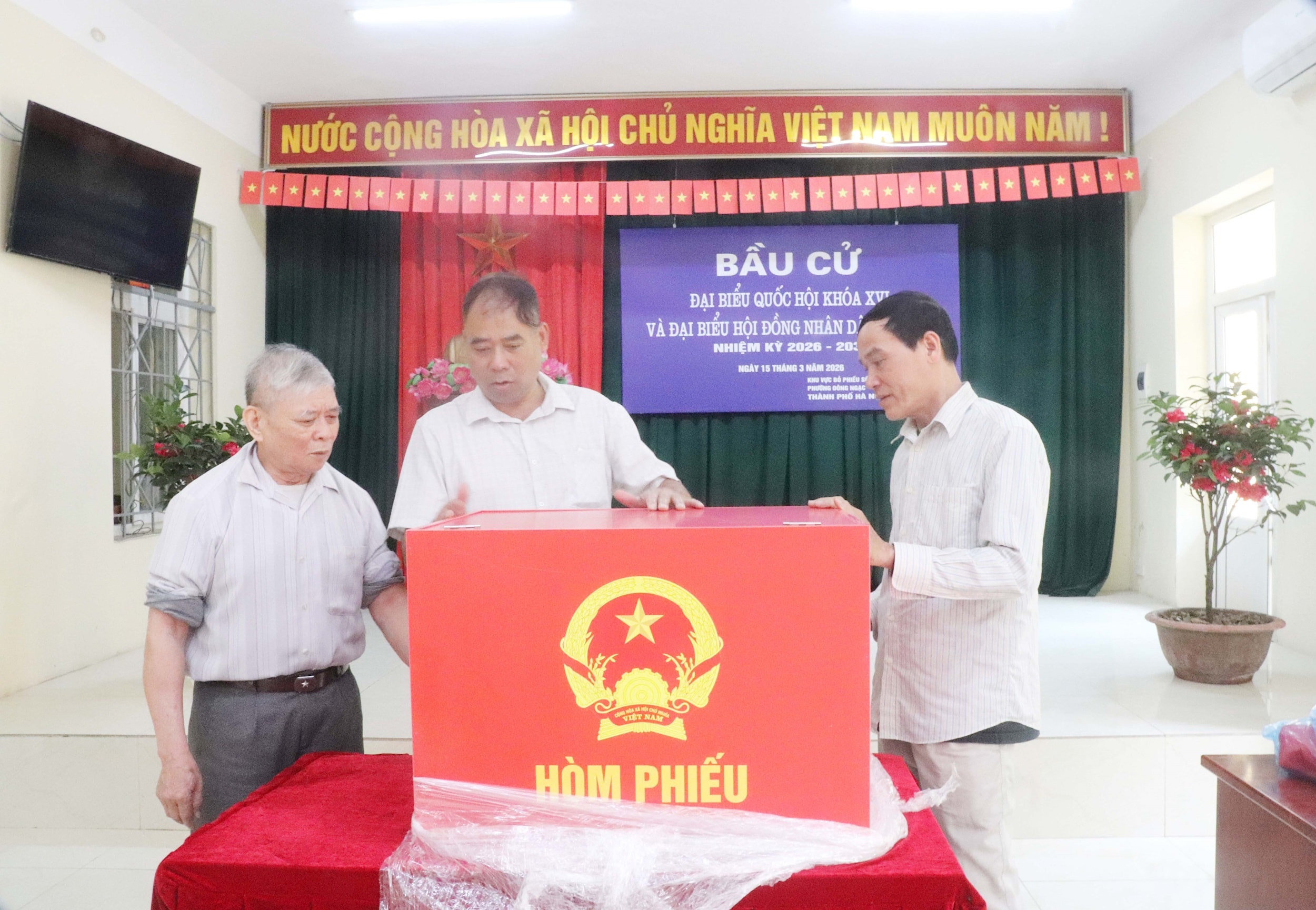 dong_ngac_ruc_ro_co_hoa6.jpg