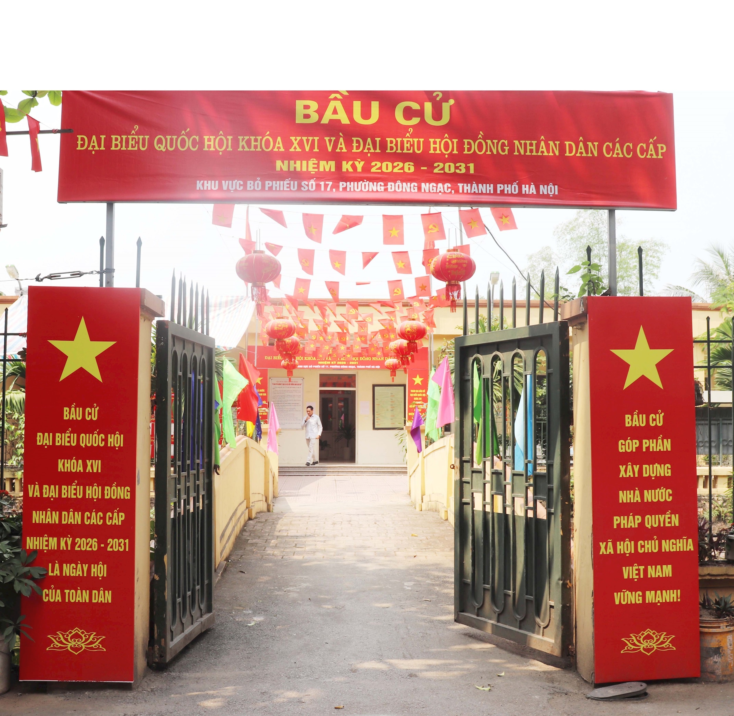 dong_ngac_ruc_ro_co_hoa8.jpg