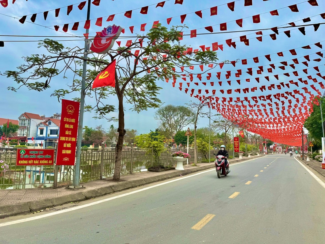 street.jpg