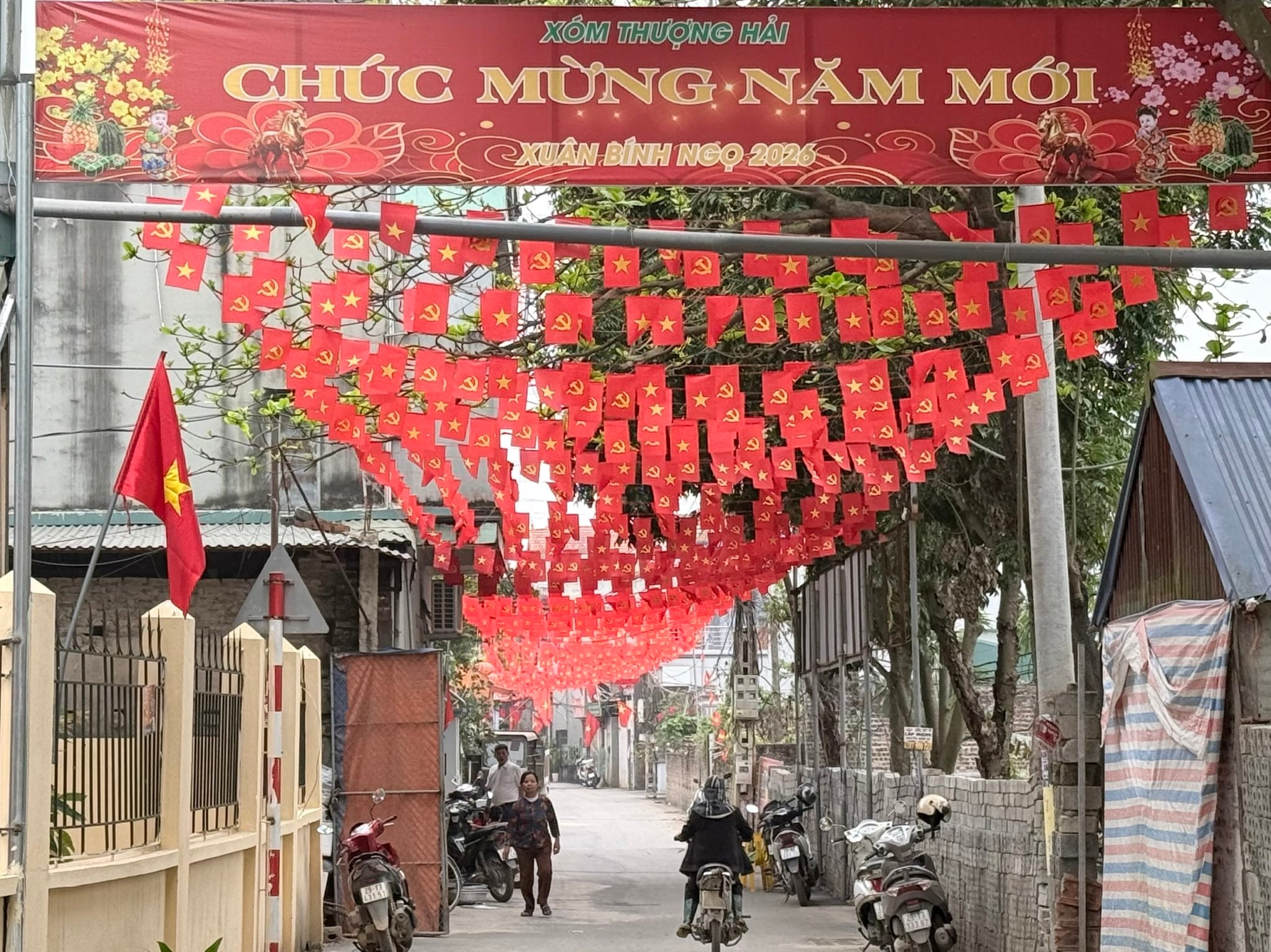 co-hoa.jpg