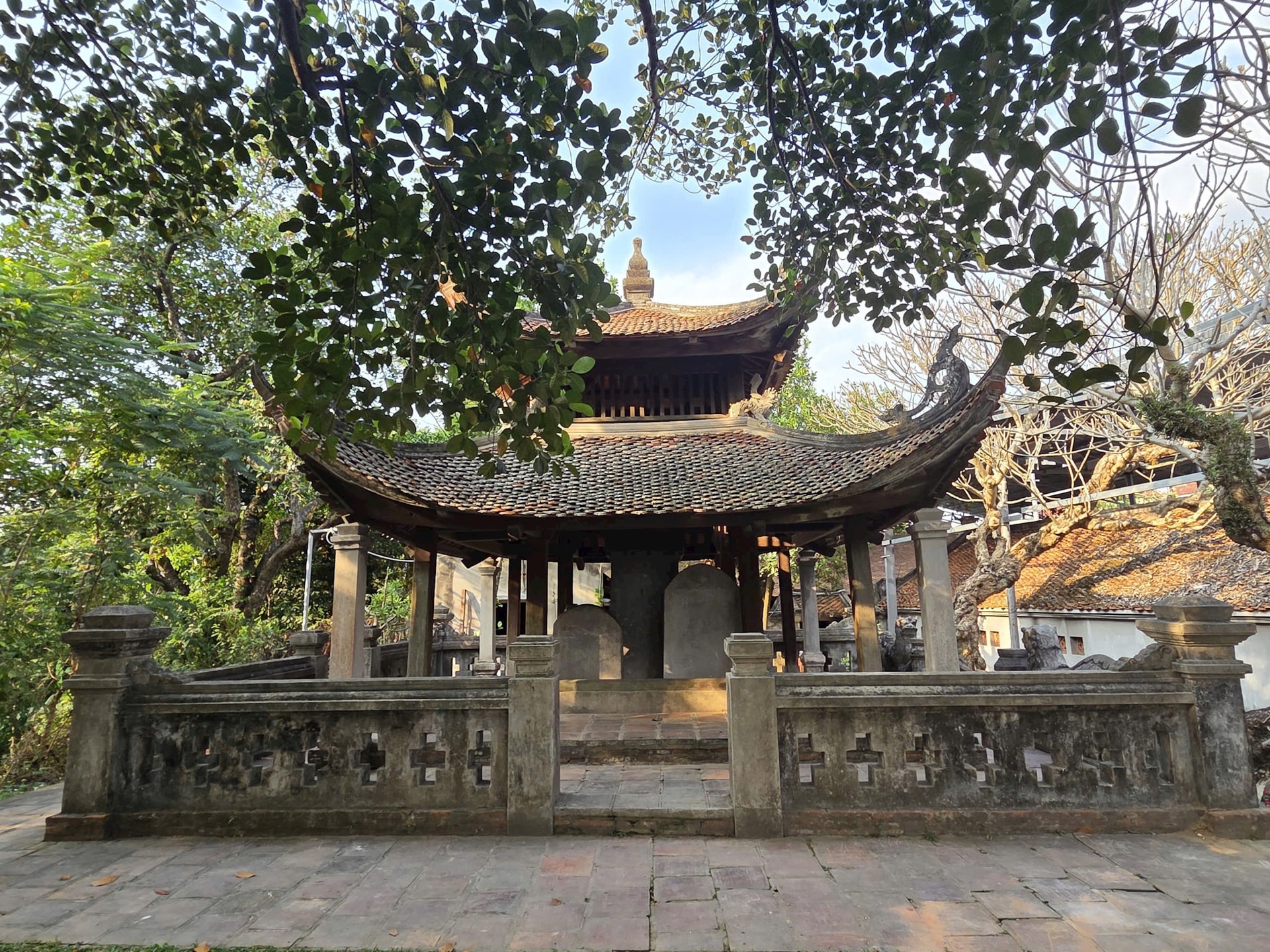 img_1008.jpeg সম্পর্কে