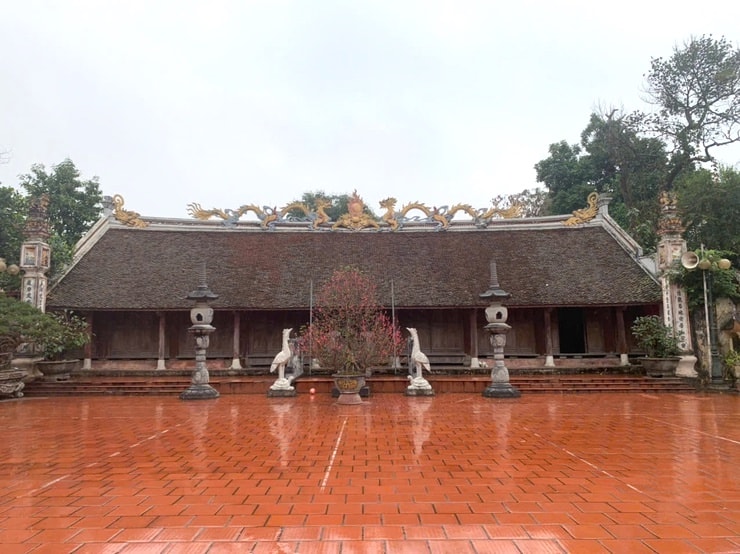 dinh-trung-canh-hoach.jpg