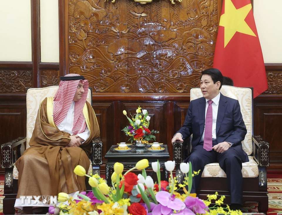 chu-tich-nuoc-luong-cuong-tiep-dai-su-saudi-arabia-trinh-quoc-thu-1.jpg