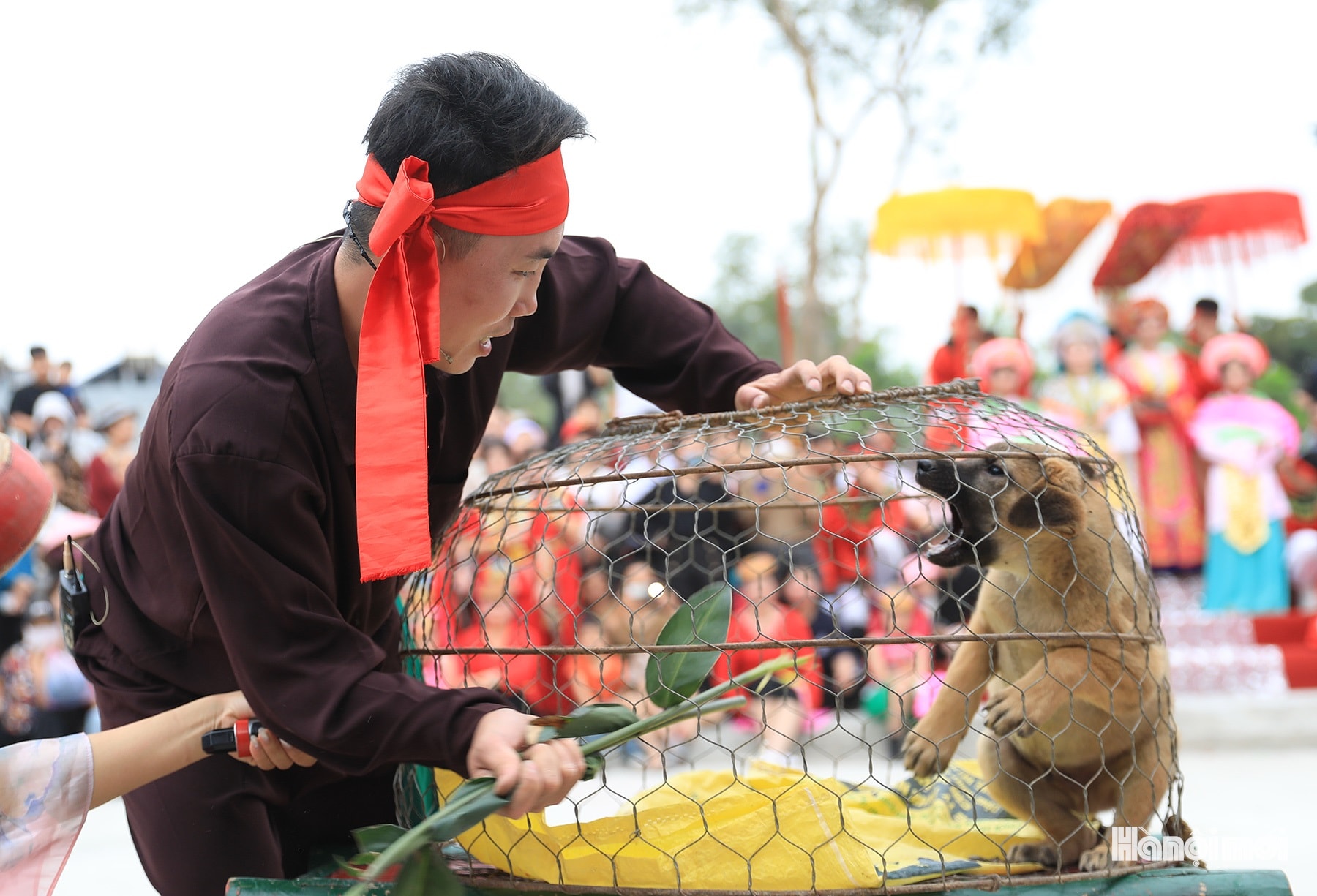 W_le-hoi-ken-re-duong-yen-8.jpg