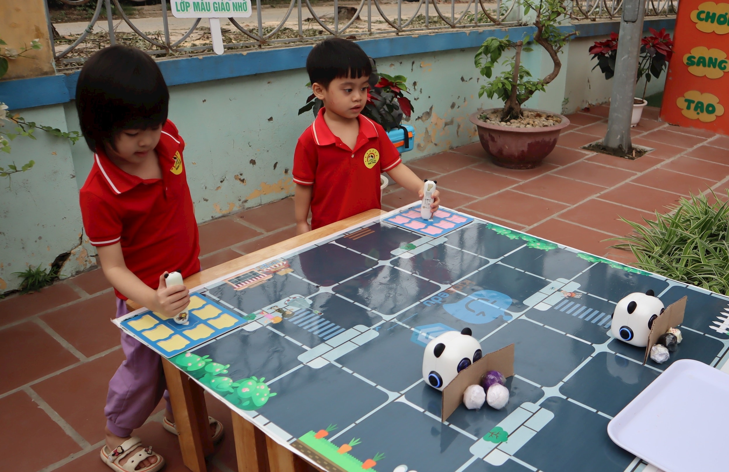 stem-2-img_3157.jpg