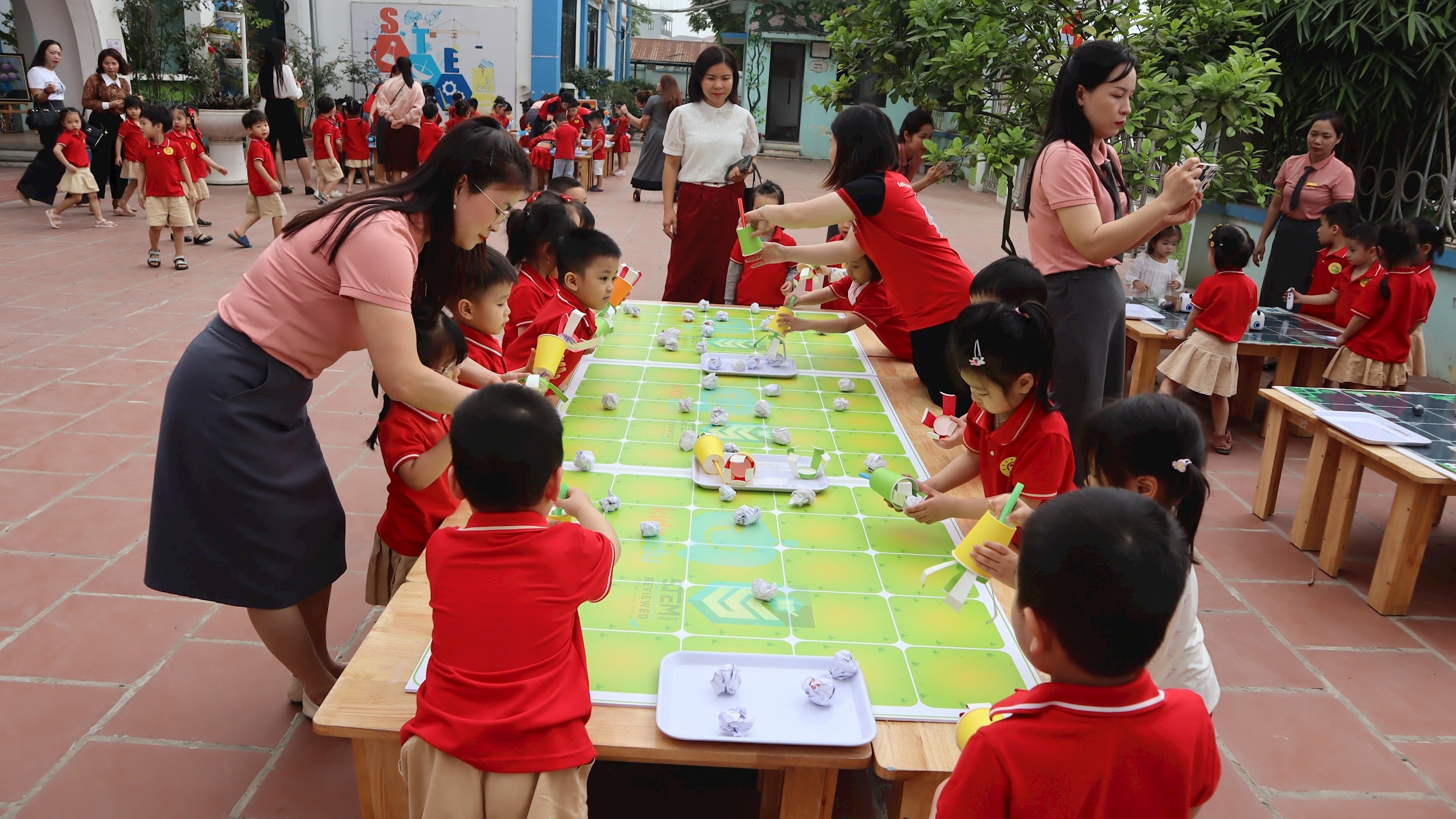 stem-4-img_3155.jpg