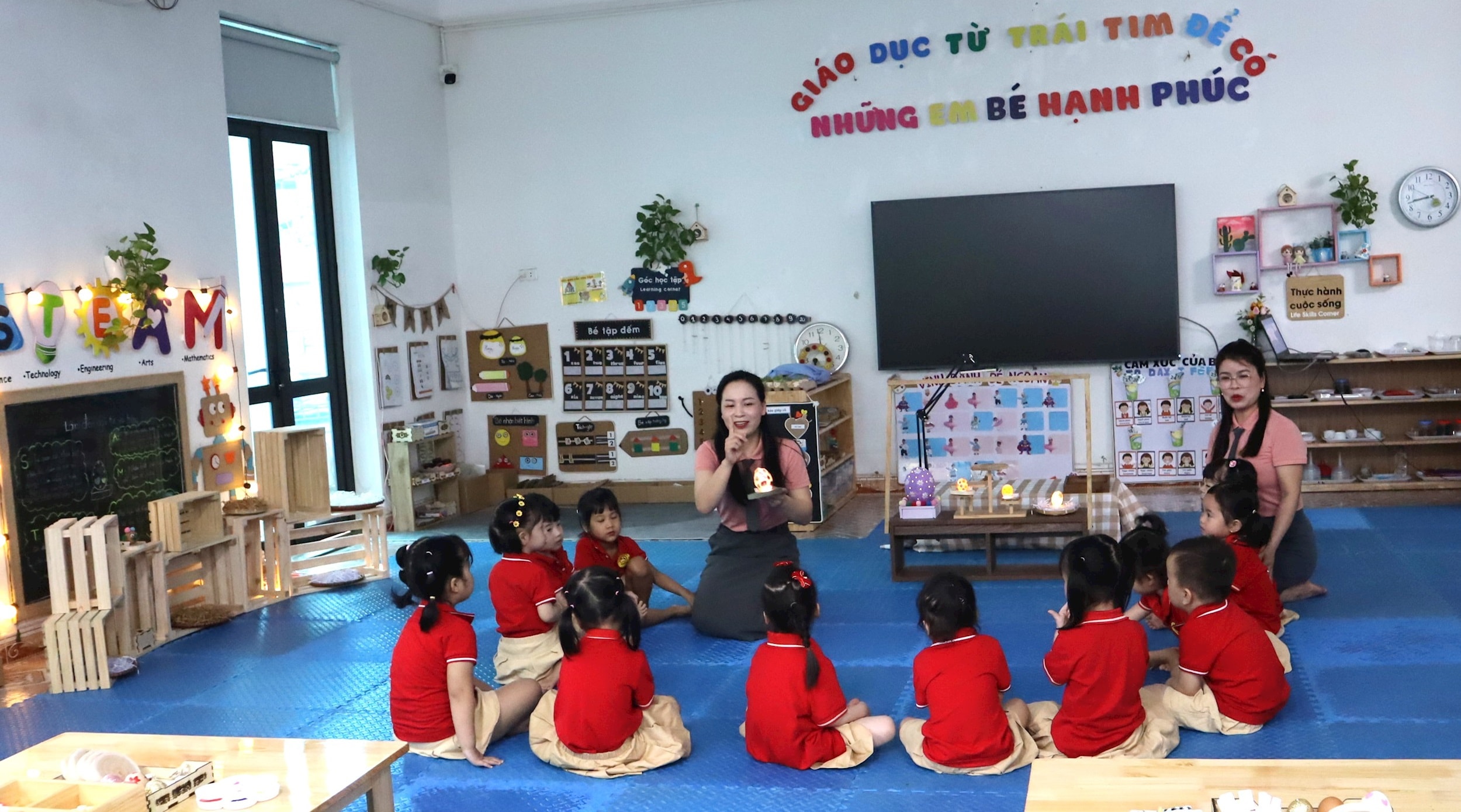 stem-img_3118.jpg