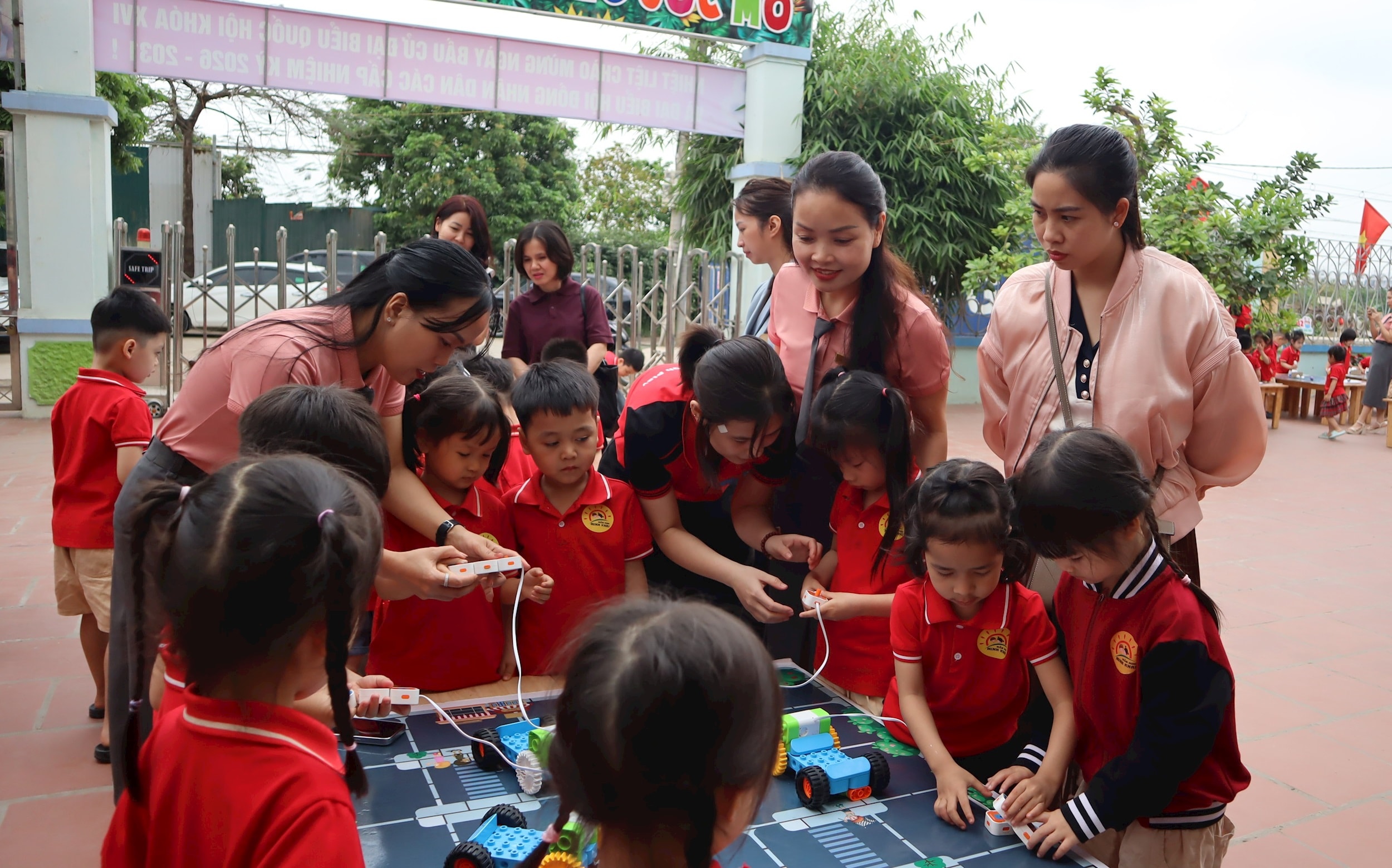 stem-img_3161.jpg