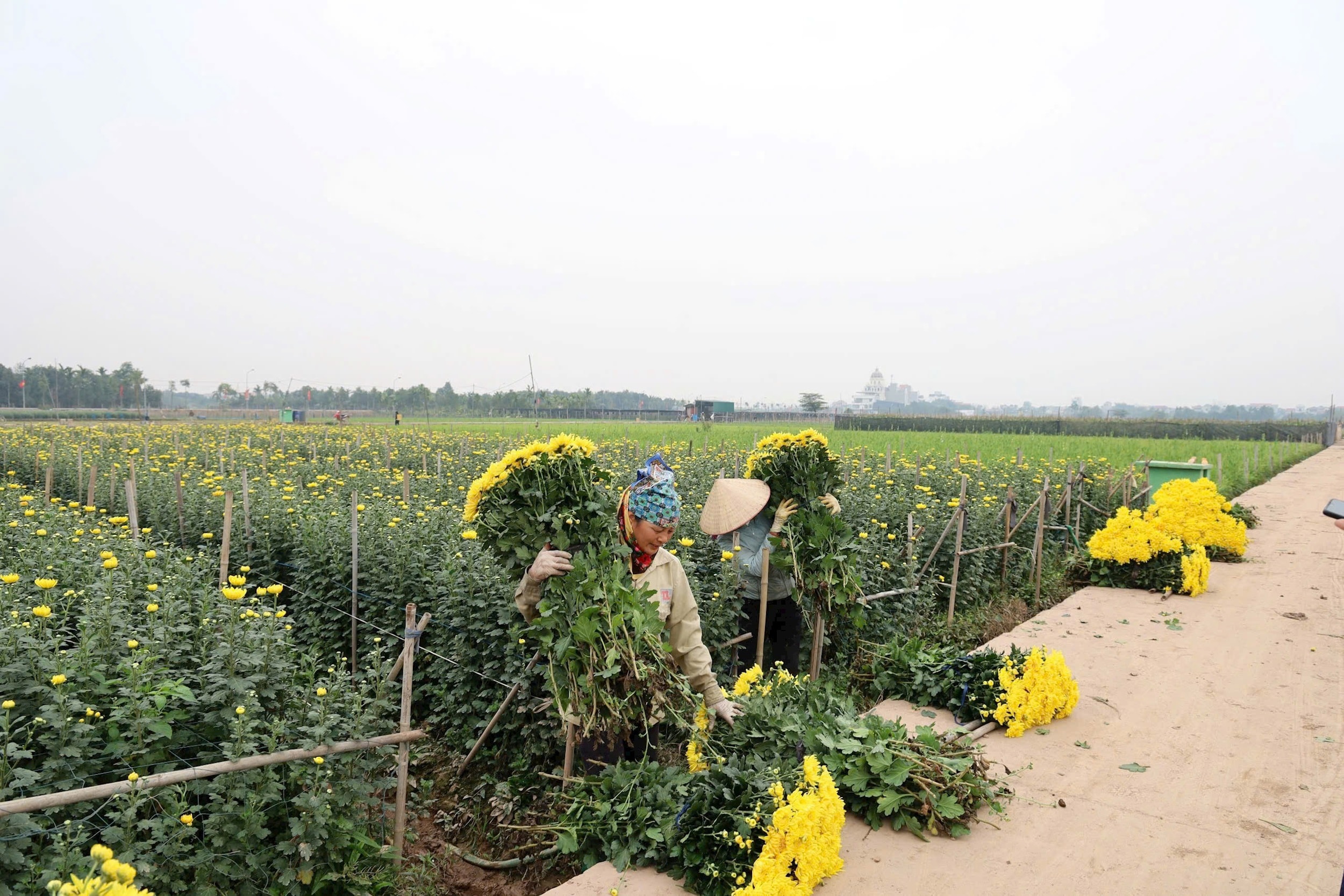 anh-2.jpeg