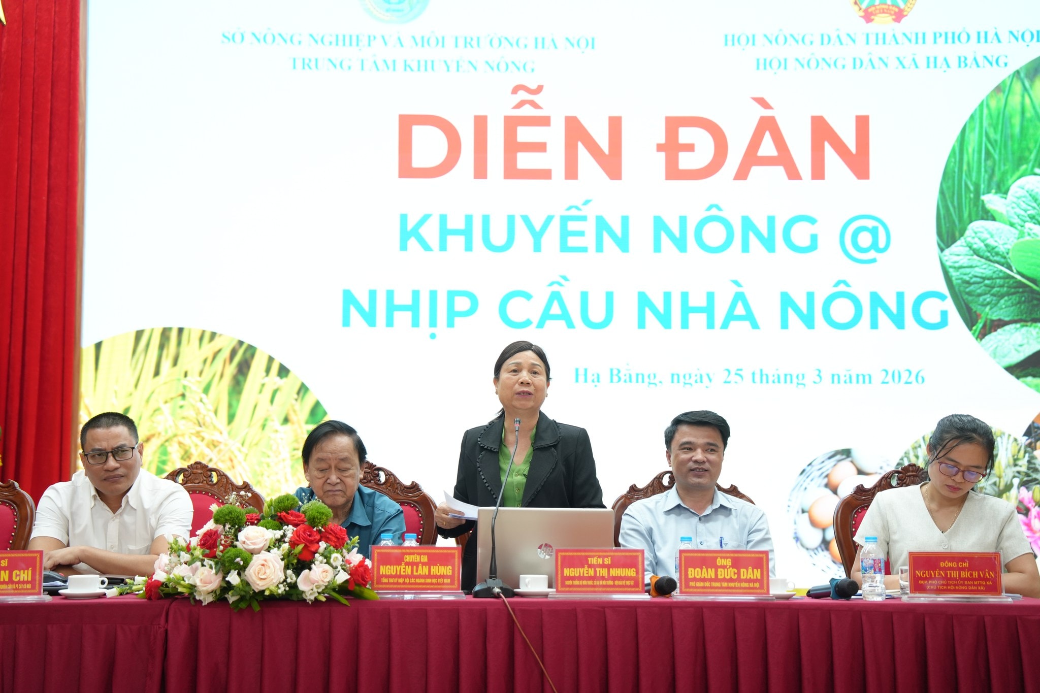 dien-dan-1.jpg
