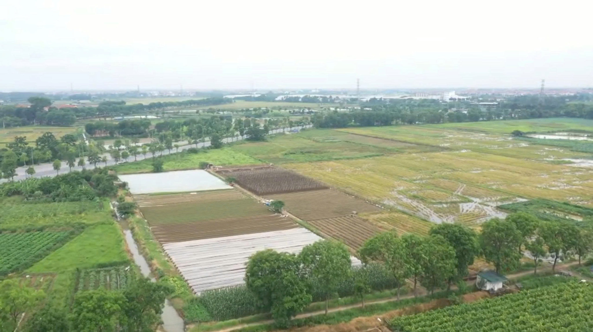 vung-bai.jpg