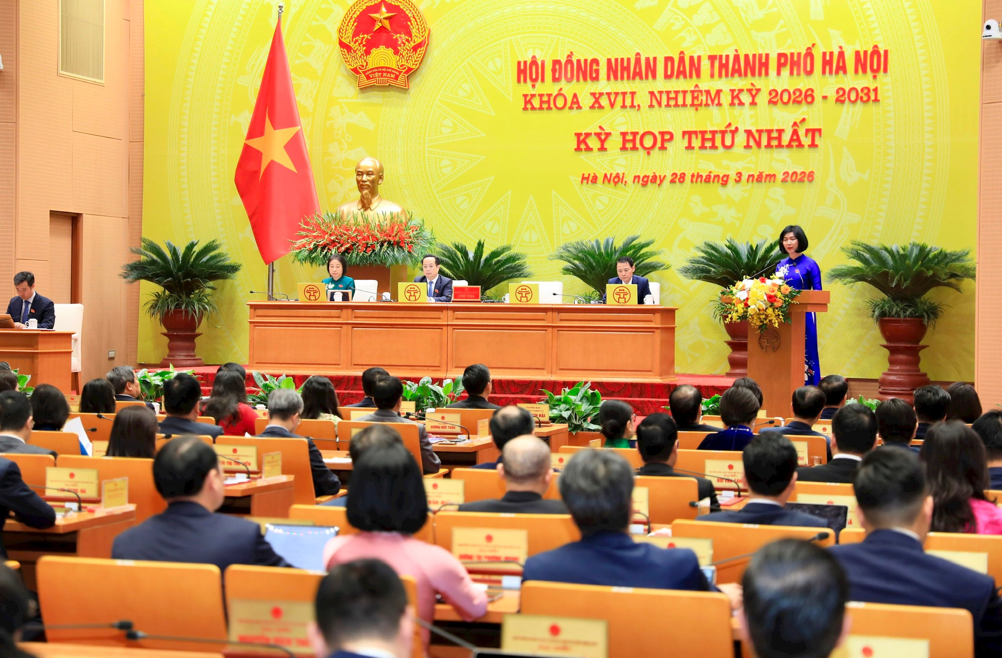 anh-thanh-thai-2.jpg
