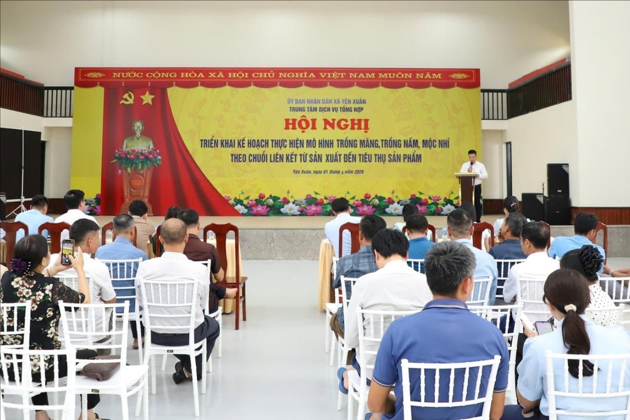 Tăng cường liên kết “3 nhà” trong phát triển mô hình trồng măng, nấm là hướng đi mới tr