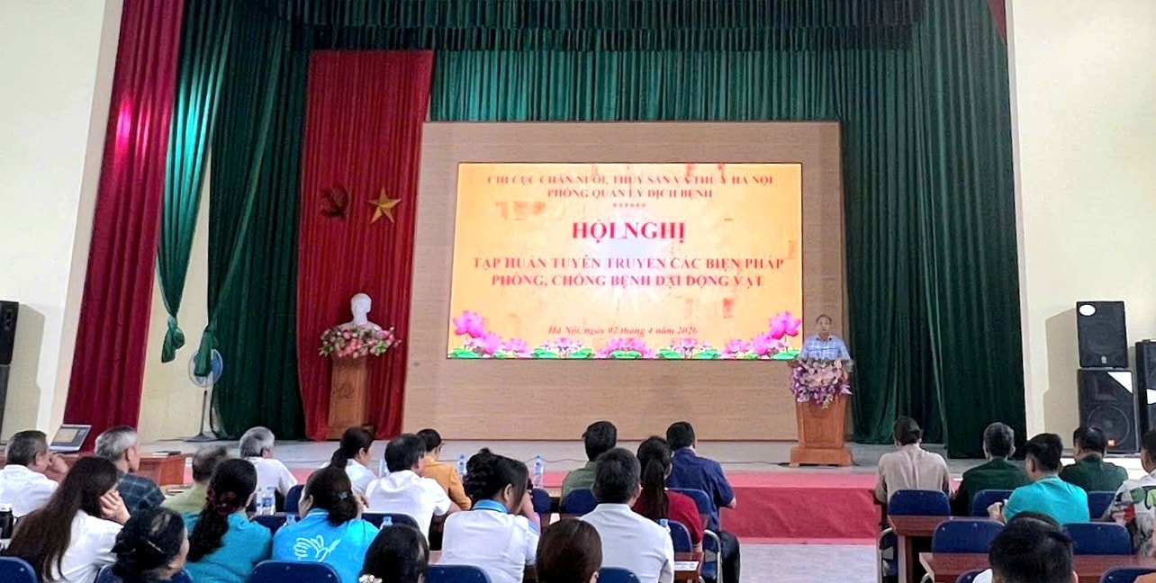 phu-cat-1.jpg