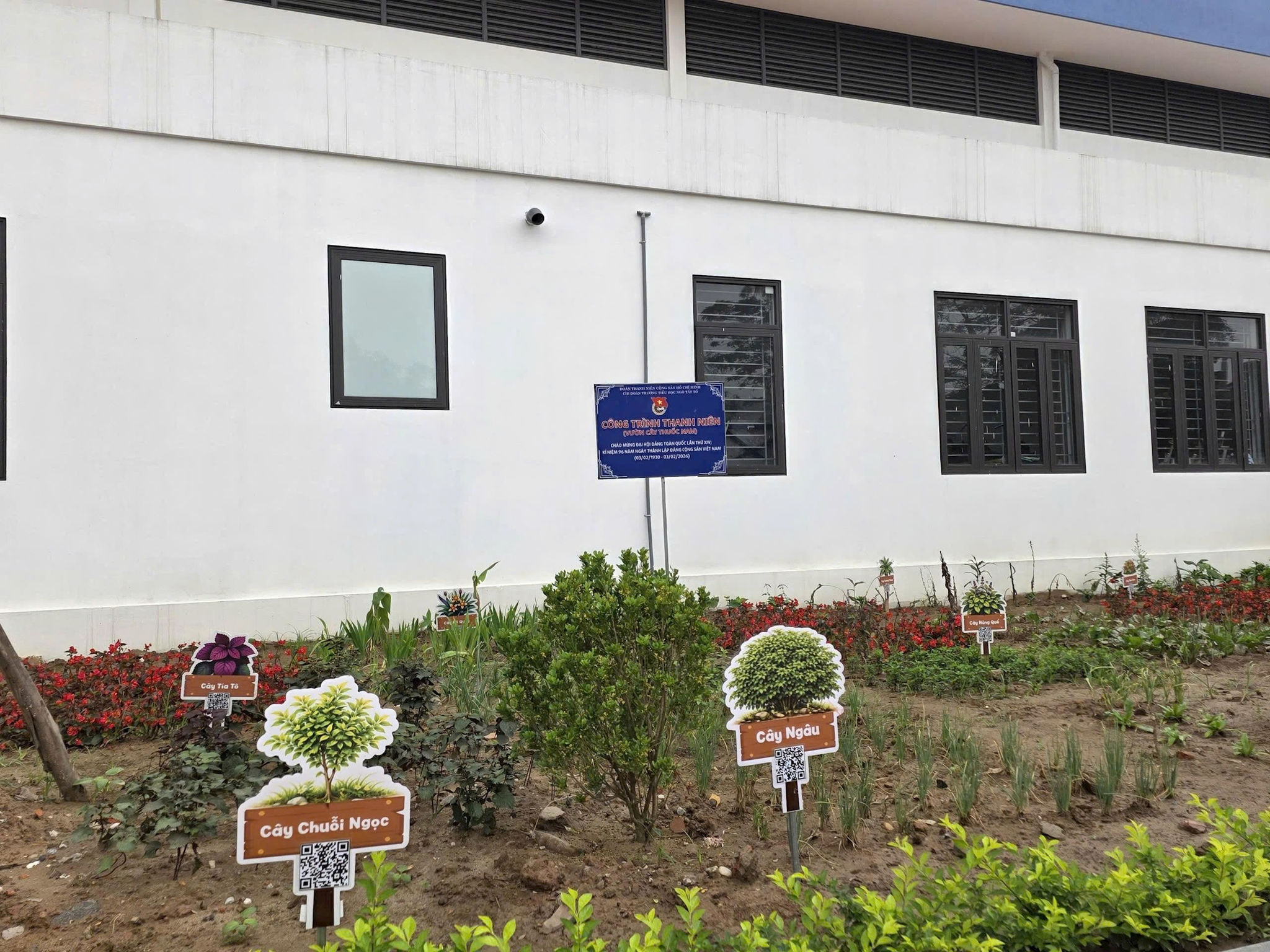 z7683090753879_7ee6781782616d65069340590b7e14d9.jpg