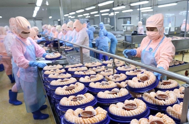 Chế biến tôm xuất khẩu tại Công ty cổ phần Thực phẩm Sao Ta. Ảnh: DANH LAM