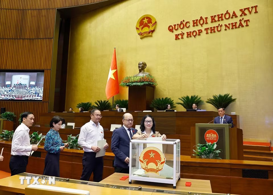 Đại biểu Quốc hội bỏ phiếu phê chuẩn Thẩm phán Tòa án nhân dân Tối cao, Phó Thủ tướng Chính phủ, Bộ trưởng và thành viên khác của Chính phủ. (Ảnh: Doãn Tấn/TTXVN)