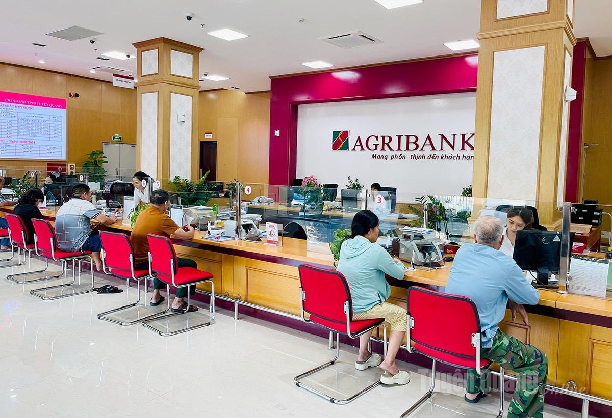 11-4 Agribank-1.jpeg