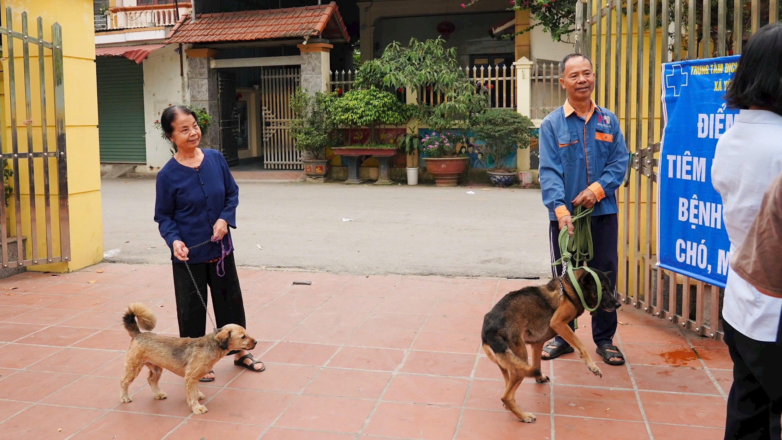 yen-lang-1.jpg