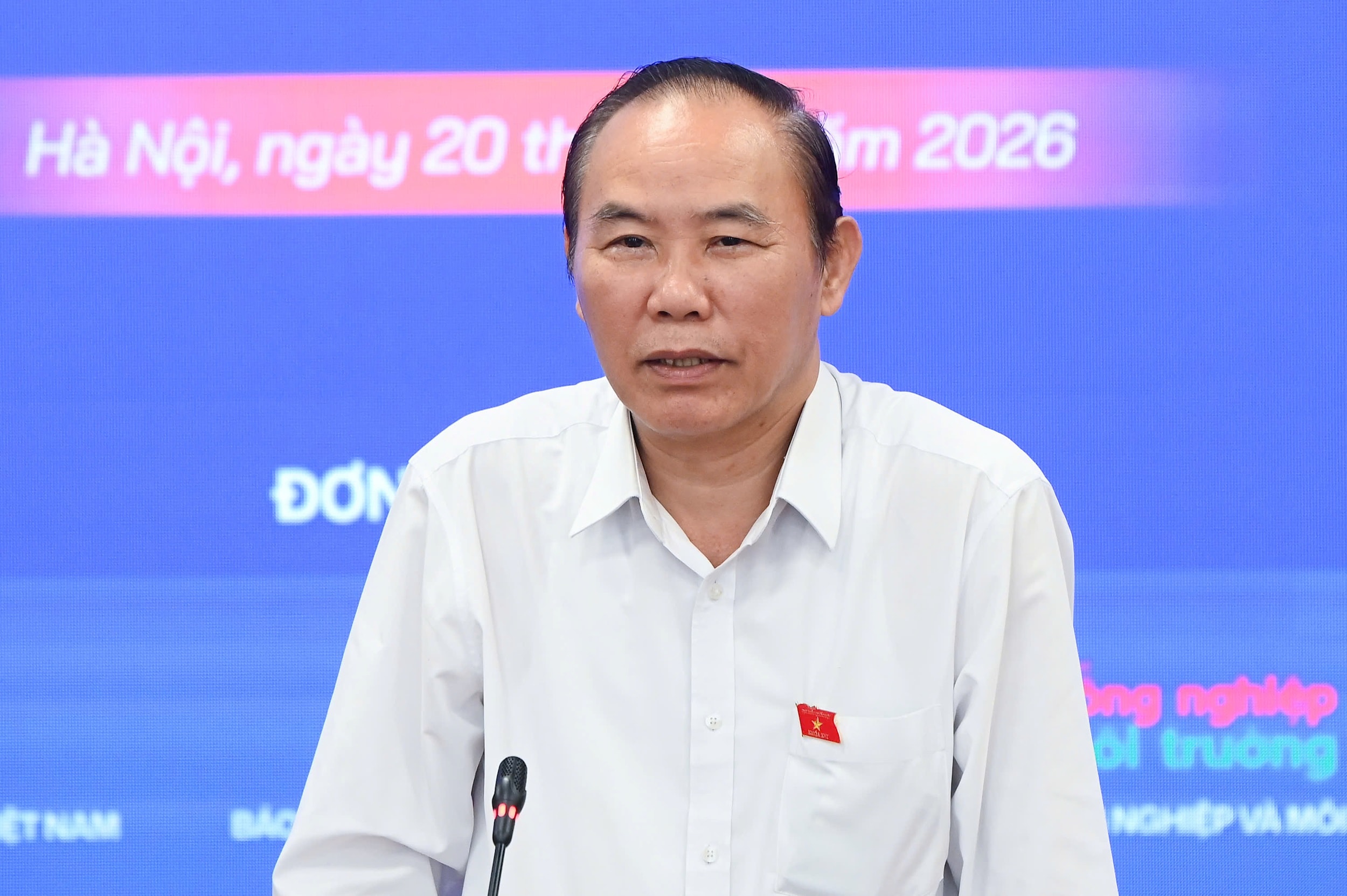 thuy-san-1.jpg