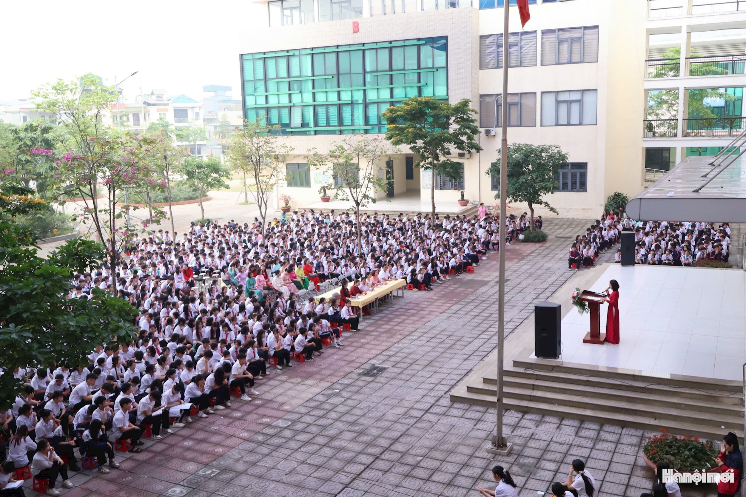 W_ngayhosach1.jpg