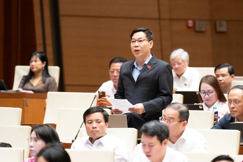 do-duc-hong-ha.jpg