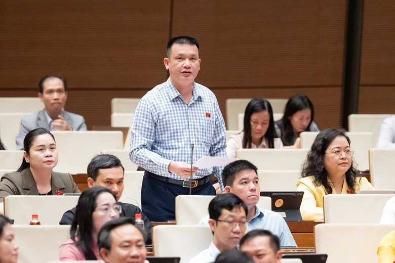 ngoc-dinh.jpg