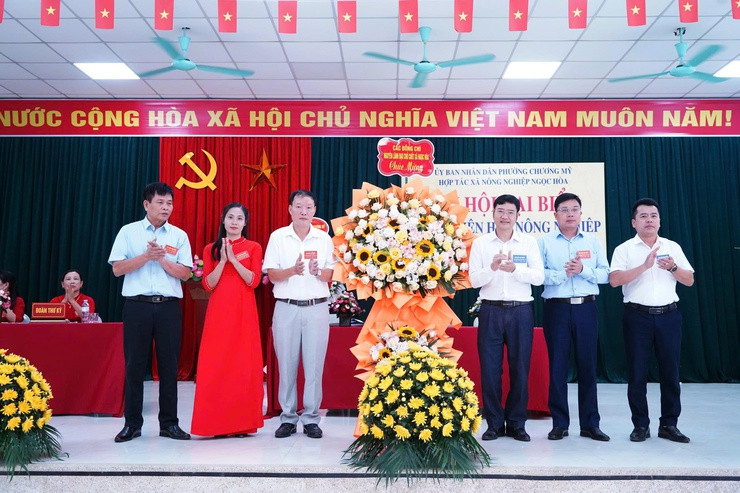e.jpg