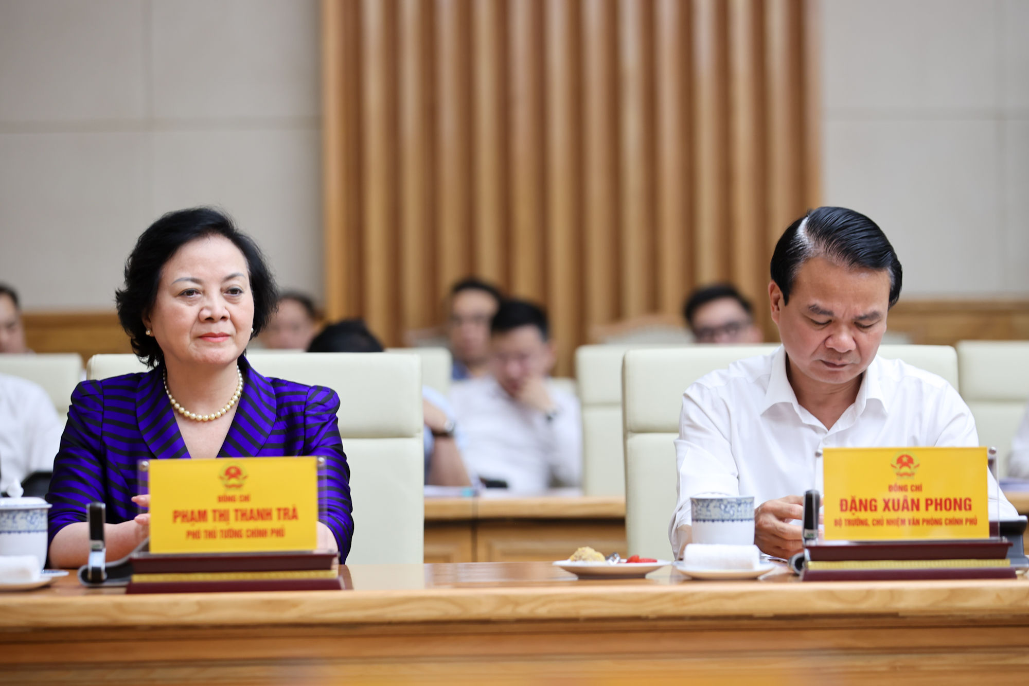 29-thanh-tra.jpeg